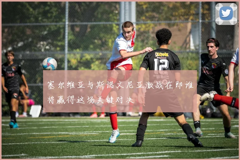 塞尔维亚与斯诺文尼亚激战在即谁将赢得这场关键对决
