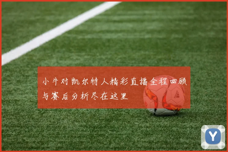 小牛对凯尔特人精彩直播全程回顾与赛后分析尽在这里